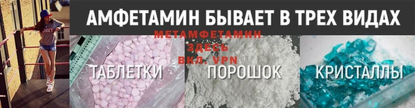 прущие грибы Дмитров