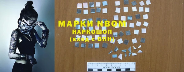 прущие грибы Дмитров