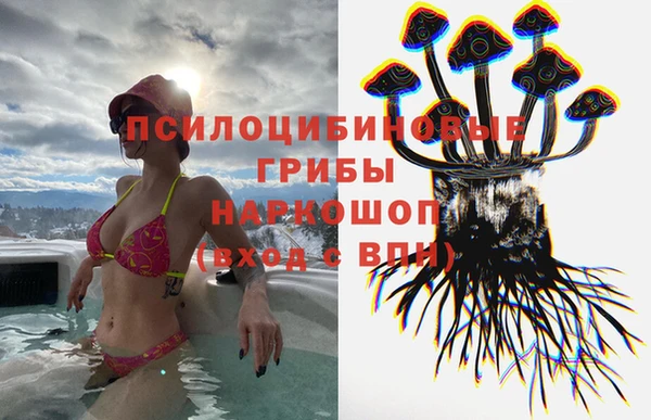 синтетический гашиш Гусиноозёрск