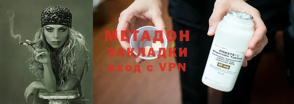 прущие грибы Дмитров