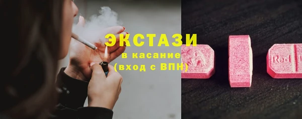 прущие грибы Дмитров