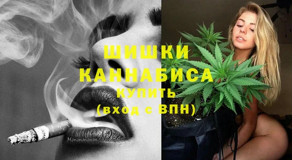 спайс Гусев
