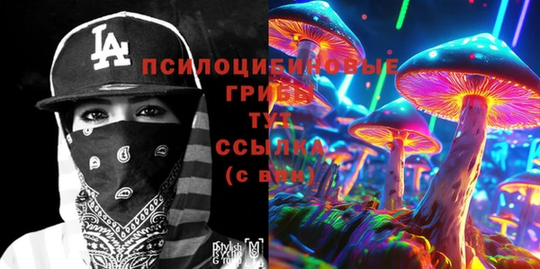 spice Дмитровск