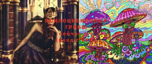 spice Дмитровск