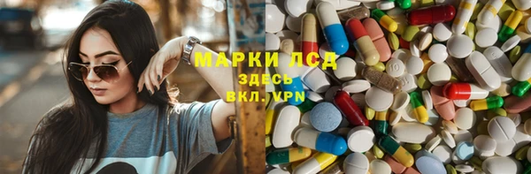 спайс Гусев