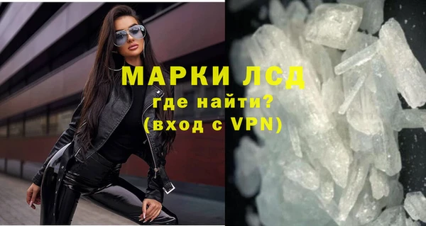 спайс Гусев